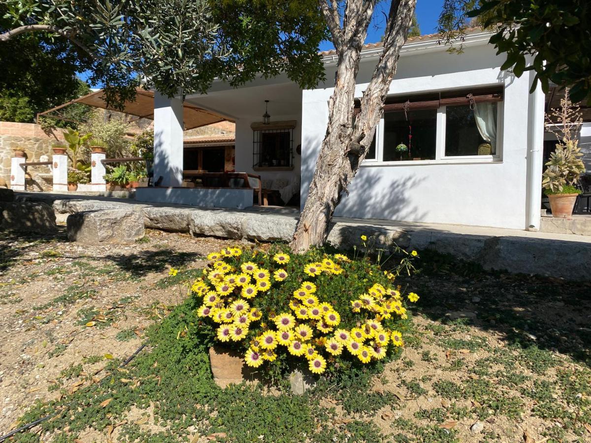 Casa El Saladillo Villa Valle de Abdalagis ภายนอก รูปภาพ